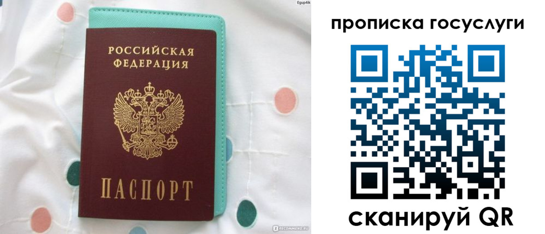 прописка поиск в Благодарном